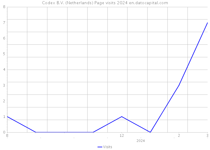 Codex B.V. (Netherlands) Page visits 2024 