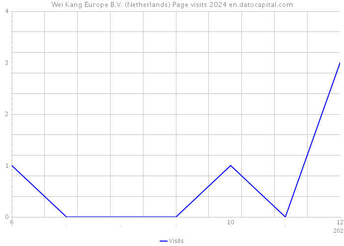 Wei Kang Europe B.V. (Netherlands) Page visits 2024 