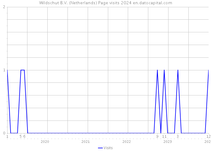 Wildschut B.V. (Netherlands) Page visits 2024 