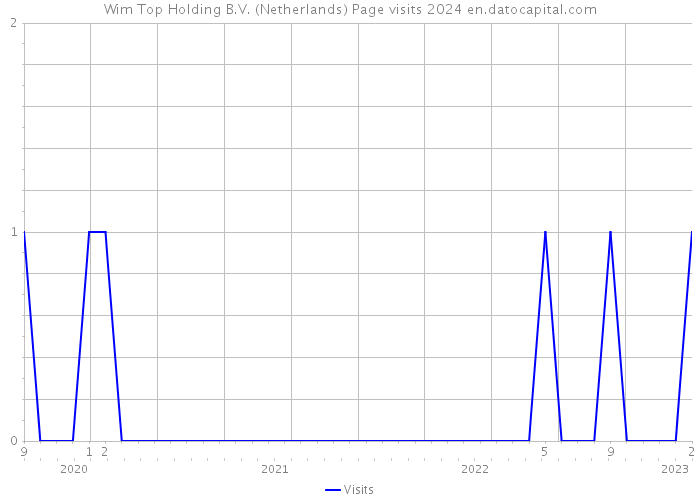 Wim Top Holding B.V. (Netherlands) Page visits 2024 
