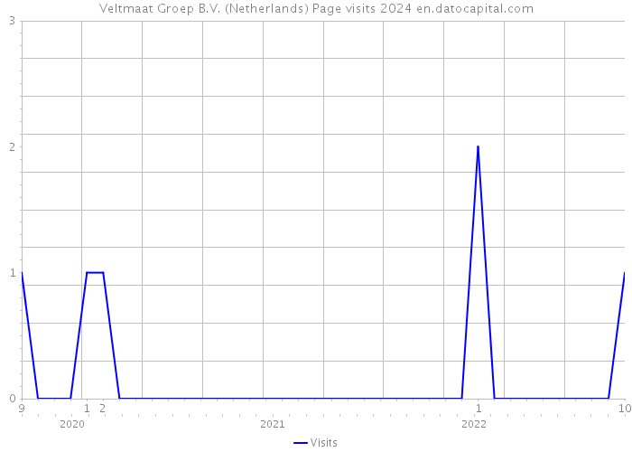 Veltmaat Groep B.V. (Netherlands) Page visits 2024 