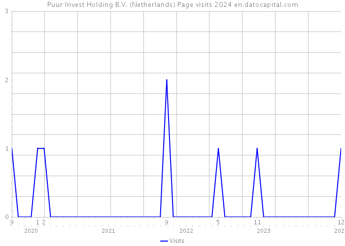 Puur Invest Holding B.V. (Netherlands) Page visits 2024 