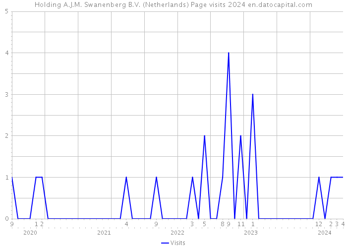 Holding A.J.M. Swanenberg B.V. (Netherlands) Page visits 2024 