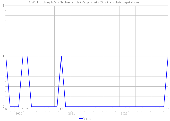 OWL Holding B.V. (Netherlands) Page visits 2024 