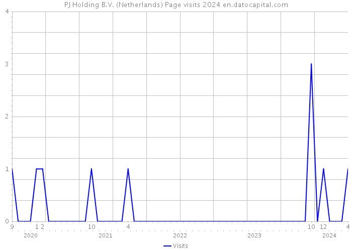 PJ Holding B.V. (Netherlands) Page visits 2024 