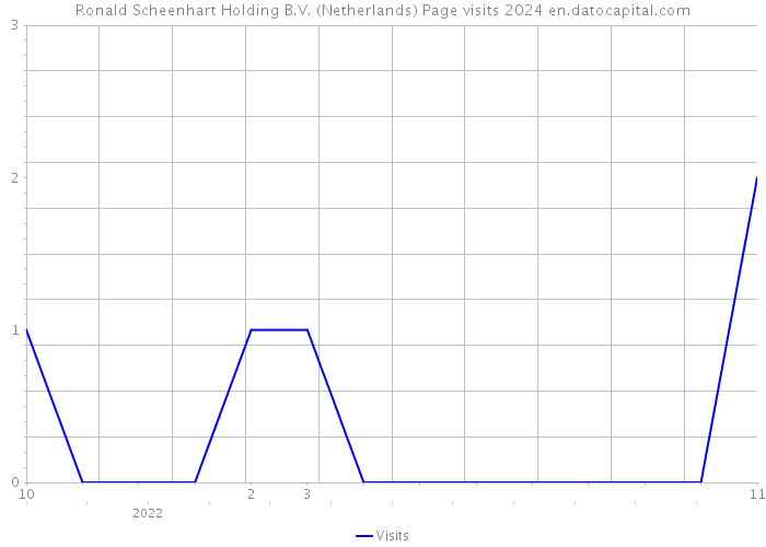 Ronald Scheenhart Holding B.V. (Netherlands) Page visits 2024 