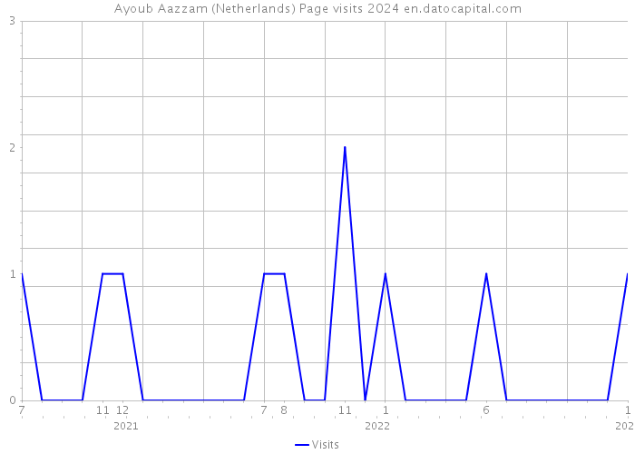 Ayoub Aazzam (Netherlands) Page visits 2024 