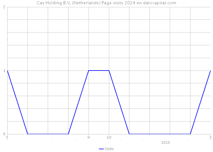 Cas Holding B.V, (Netherlands) Page visits 2024 