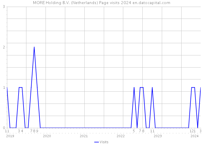 MORE Holding B.V. (Netherlands) Page visits 2024 