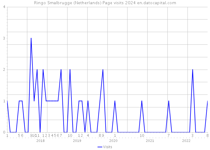 Ringo Smalbrugge (Netherlands) Page visits 2024 