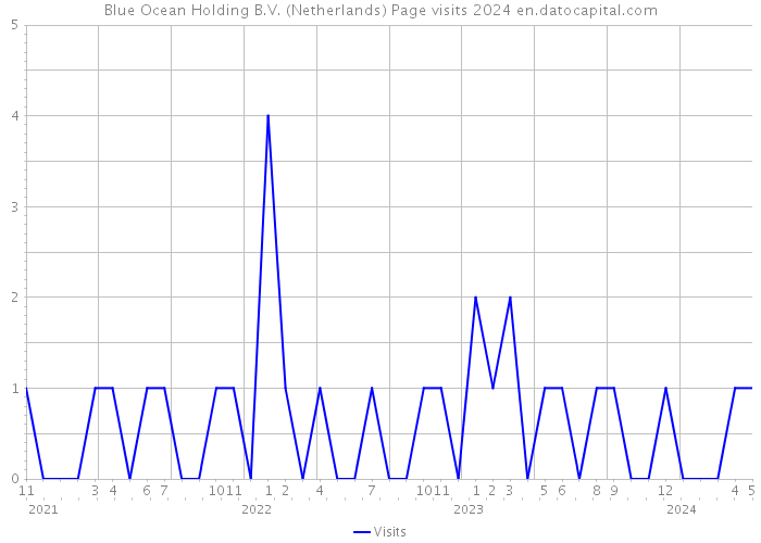 Blue Ocean Holding B.V. (Netherlands) Page visits 2024 