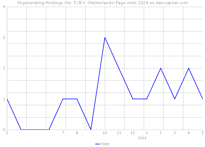 Nrgenerating Holdings (No. 5) B.V. (Netherlands) Page visits 2024 