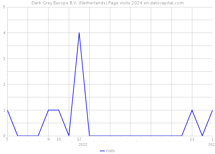 Dark Grey Europe B.V. (Netherlands) Page visits 2024 
