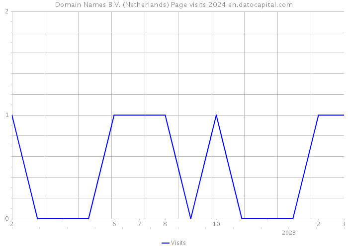 Domain Names B.V. (Netherlands) Page visits 2024 