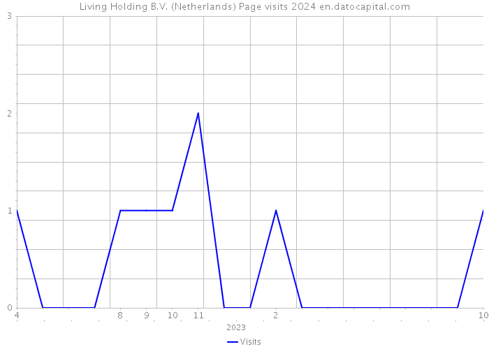 Living Holding B.V. (Netherlands) Page visits 2024 