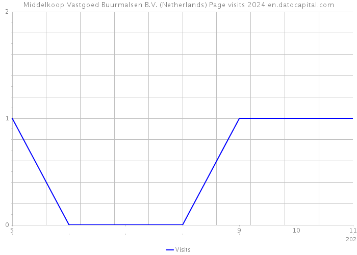 Middelkoop Vastgoed Buurmalsen B.V. (Netherlands) Page visits 2024 