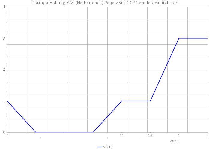 Tortuga Holding B.V. (Netherlands) Page visits 2024 