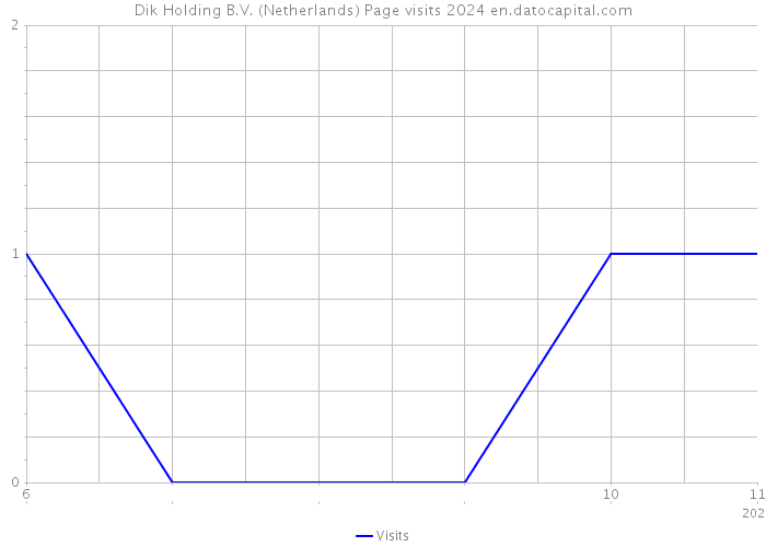 Dik Holding B.V. (Netherlands) Page visits 2024 