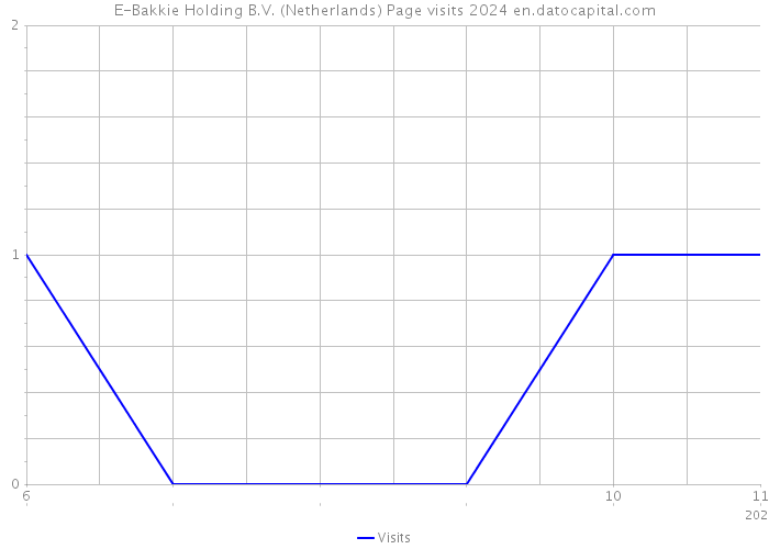 E-Bakkie Holding B.V. (Netherlands) Page visits 2024 