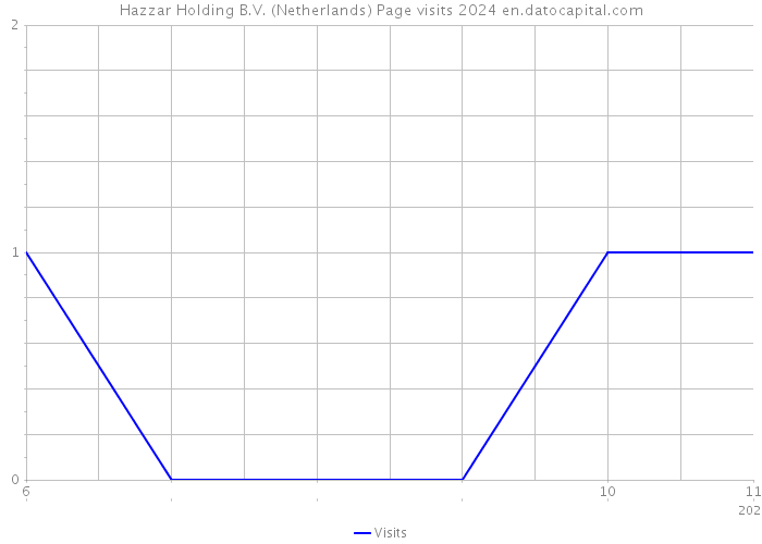 Hazzar Holding B.V. (Netherlands) Page visits 2024 