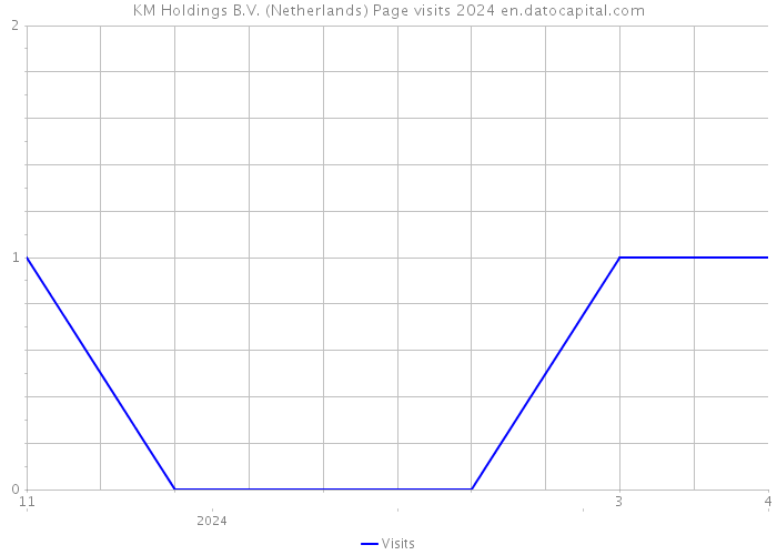 KM Holdings B.V. (Netherlands) Page visits 2024 