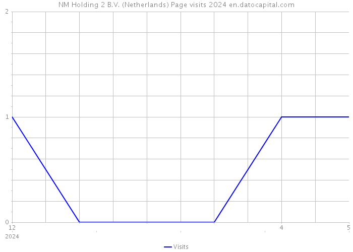 NM Holding 2 B.V. (Netherlands) Page visits 2024 
