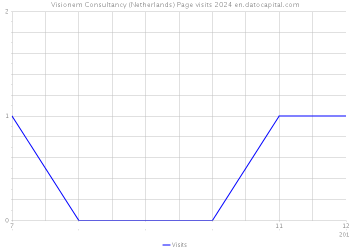 Visionem Consultancy (Netherlands) Page visits 2024 