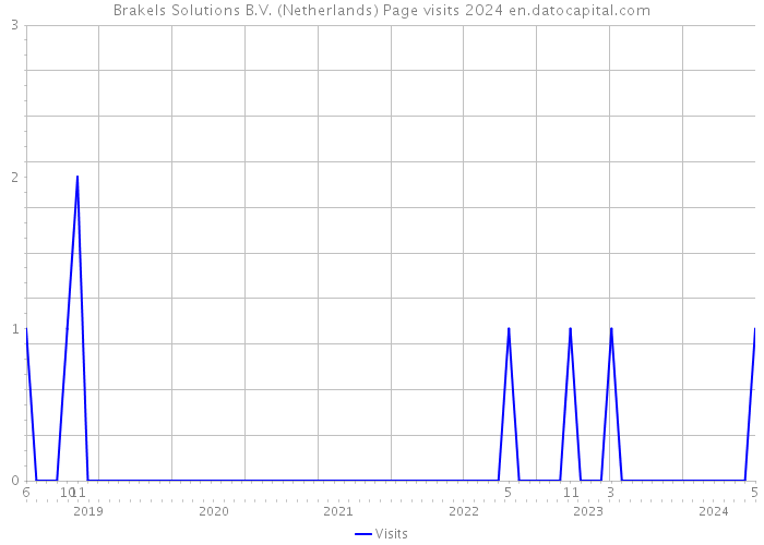 Brakels Solutions B.V. (Netherlands) Page visits 2024 