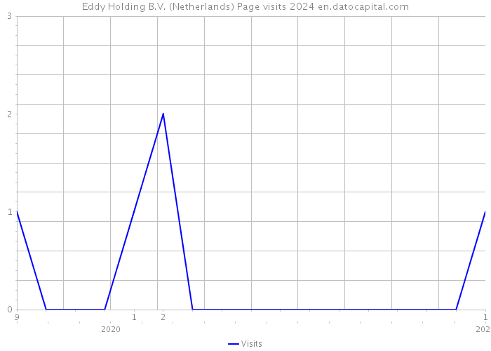 Eddy Holding B.V. (Netherlands) Page visits 2024 
