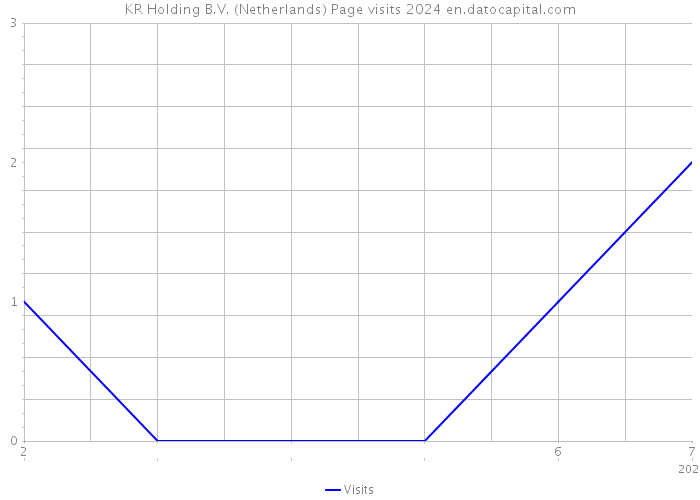 KR Holding B.V. (Netherlands) Page visits 2024 