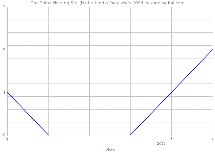 The Shine Holding B.V. (Netherlands) Page visits 2024 