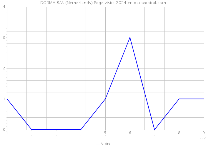 DORMA B.V. (Netherlands) Page visits 2024 
