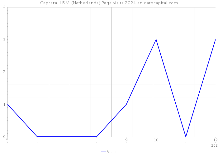 Caprera II B.V. (Netherlands) Page visits 2024 