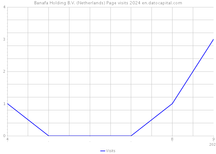 Banafa Holding B.V. (Netherlands) Page visits 2024 