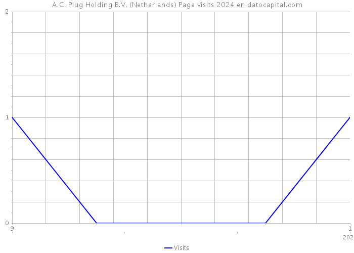 A.C. Plug Holding B.V. (Netherlands) Page visits 2024 