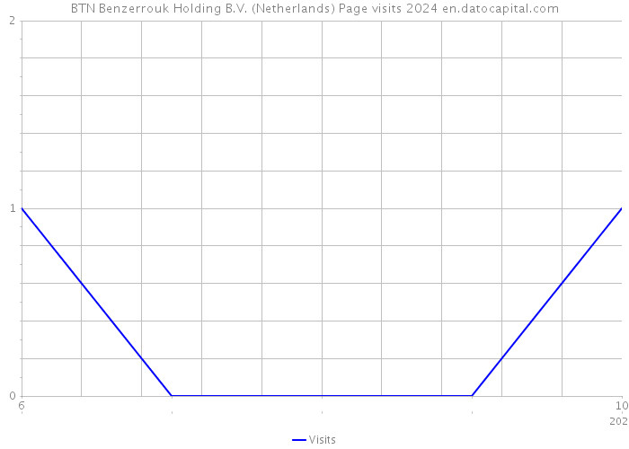 BTN Benzerrouk Holding B.V. (Netherlands) Page visits 2024 