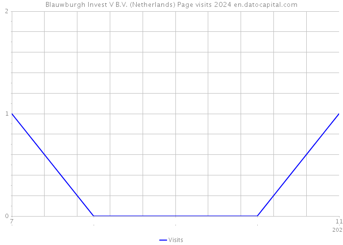 Blauwburgh Invest V B.V. (Netherlands) Page visits 2024 