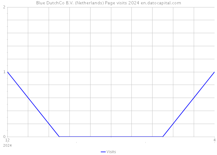 Blue DutchCo B.V. (Netherlands) Page visits 2024 