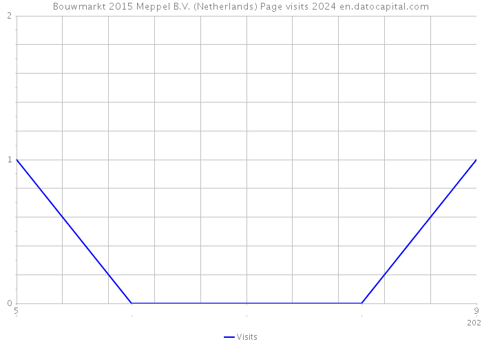 Bouwmarkt 2015 Meppel B.V. (Netherlands) Page visits 2024 