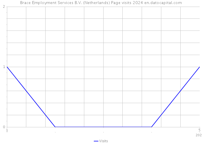 Brace Employment Services B.V. (Netherlands) Page visits 2024 