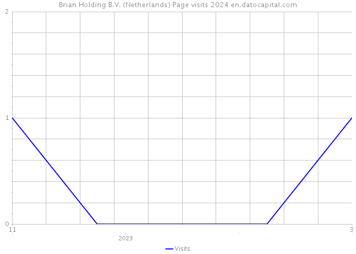 Brian Holding B.V. (Netherlands) Page visits 2024 