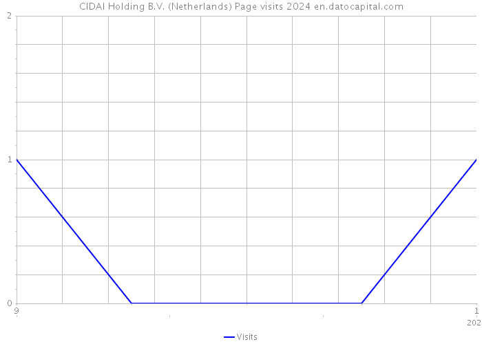 CIDAI Holding B.V. (Netherlands) Page visits 2024 
