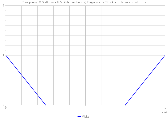 Company-X Software B.V. (Netherlands) Page visits 2024 