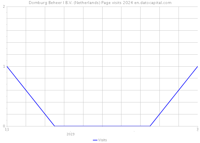 Domburg Beheer I B.V. (Netherlands) Page visits 2024 