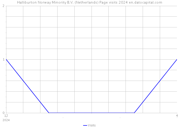 Halliburton Norway Minority B.V. (Netherlands) Page visits 2024 