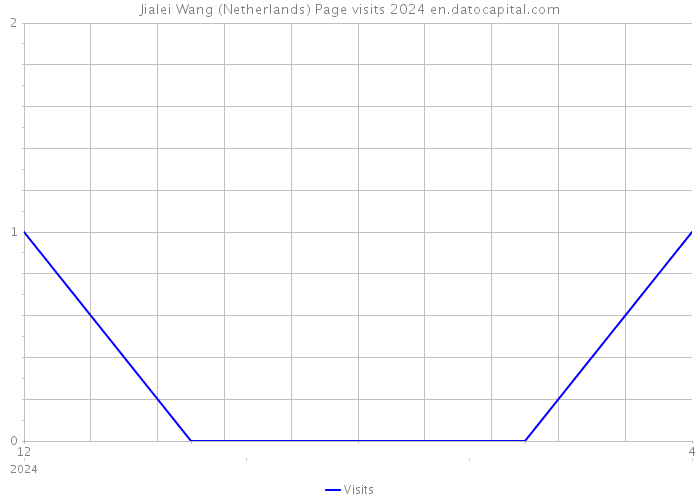 Jialei Wang (Netherlands) Page visits 2024 