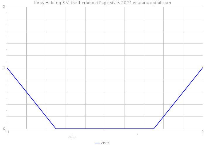 Kooy Holding B.V. (Netherlands) Page visits 2024 