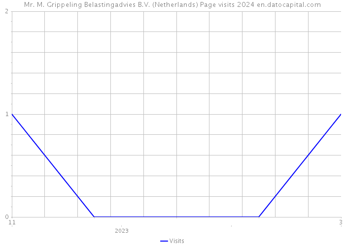 Mr. M. Grippeling Belastingadvies B.V. (Netherlands) Page visits 2024 