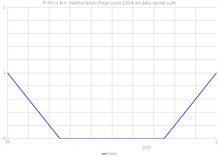 P-Pro's B.V. (Netherlands) Page visits 2024 