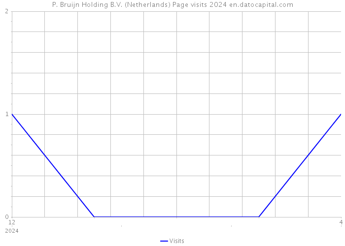 P. Bruijn Holding B.V. (Netherlands) Page visits 2024 